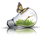 ElectricalPlus